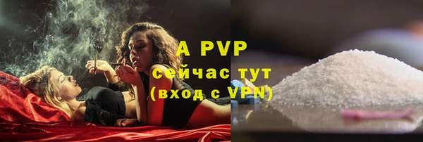 СК Ладушкин