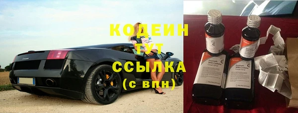 твердый Лагань