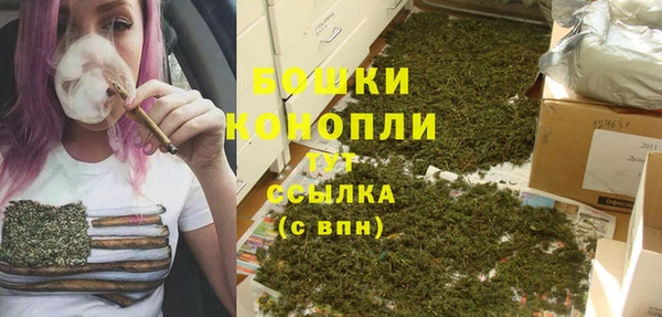 твердый Лагань