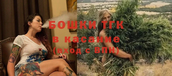 твердый Лагань