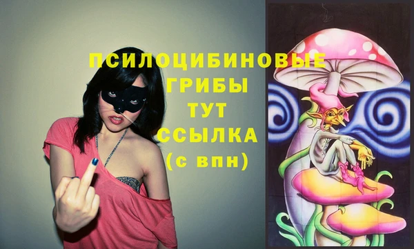 Альфа ПВП Лабытнанги