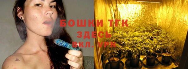 твердый Лагань