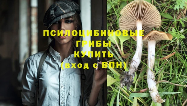 Альфа ПВП Лабытнанги